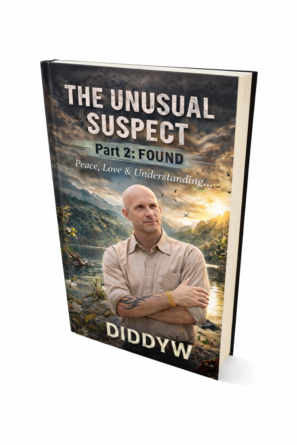 The Unusual Suspect — Part 2: Found